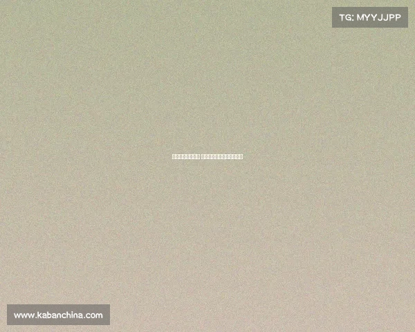 德甲边锋闪耀赛场 聚焦未来之星的崛起与挑战